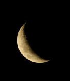 Click for larger image